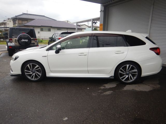LEVORG
