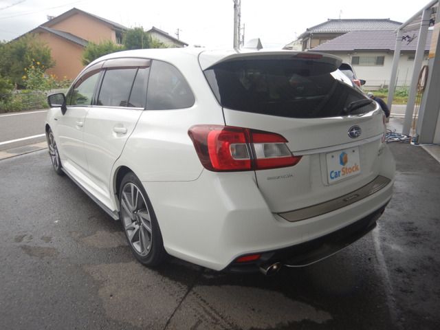 LEVORG