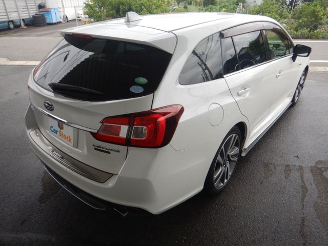 LEVORG