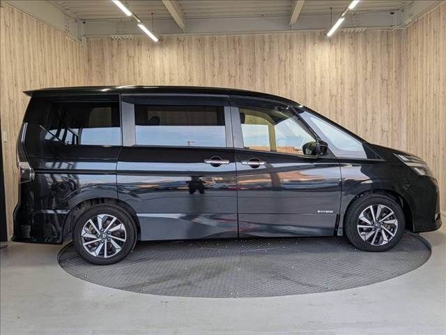 SERENA  S-HYBRID