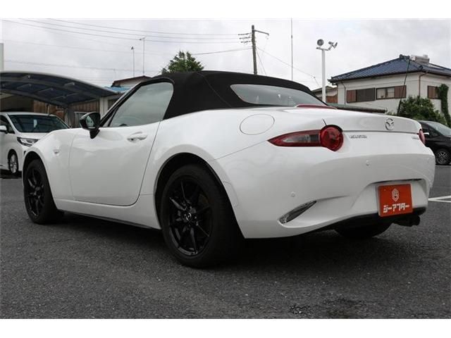 ROADSTER