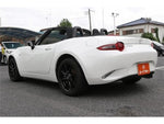 ROADSTER