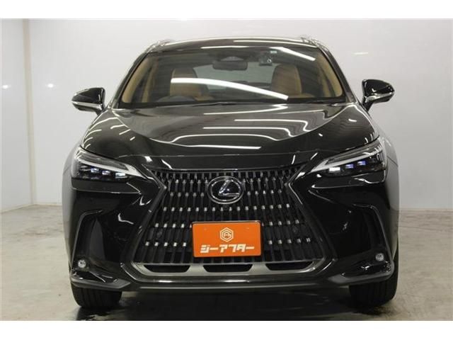 LEXUS NX350h