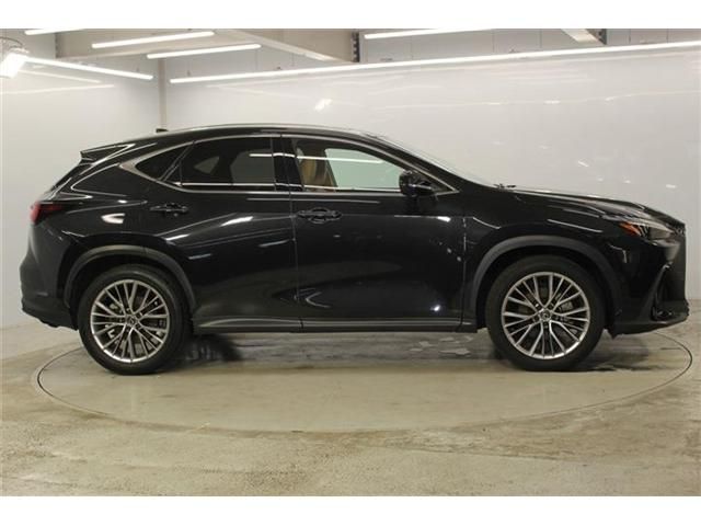 LEXUS NX350h