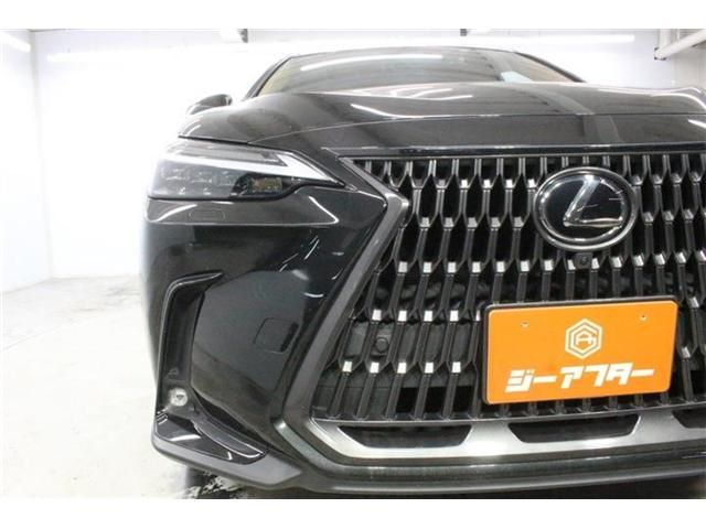 LEXUS NX350h