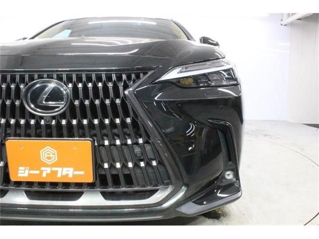 LEXUS NX350h