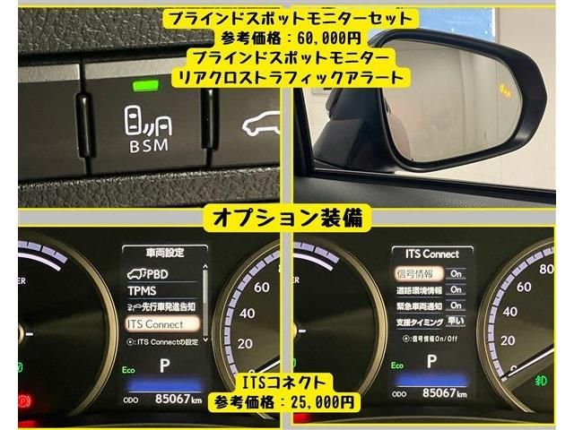 LEXUS NX300h AWD
