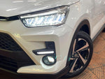 RAIZE HYBRID