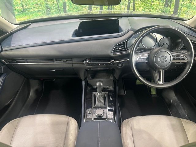 CX-30