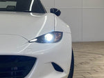 ROADSTER