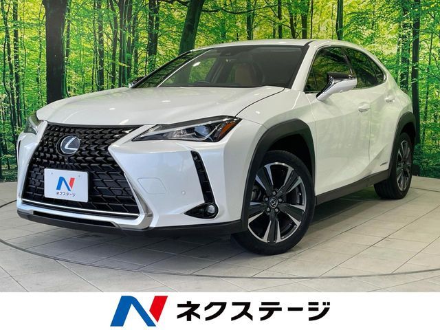 LEXUS UX250h
