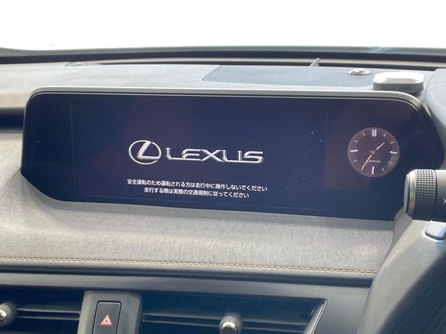 LEXUS UX250h