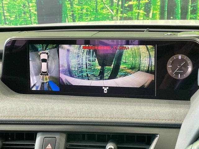 LEXUS UX250h