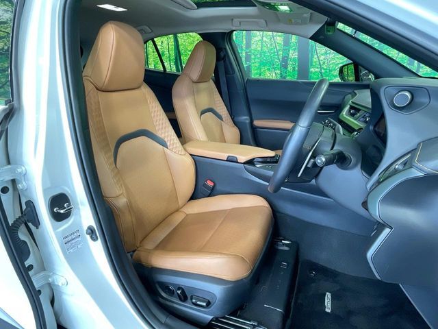 LEXUS UX250h