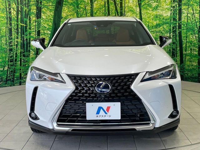 LEXUS UX250h