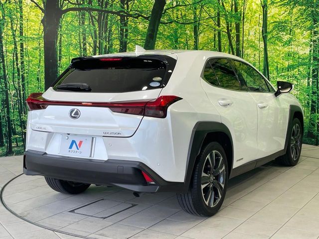 LEXUS UX250h