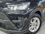 RAIZE HYBRID