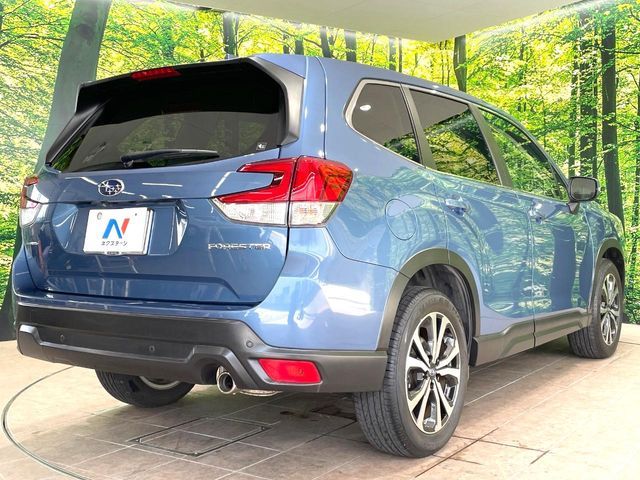 FORESTER