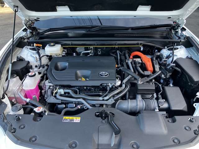 CROWN SPORT