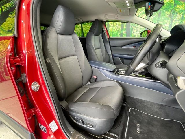 CX-30