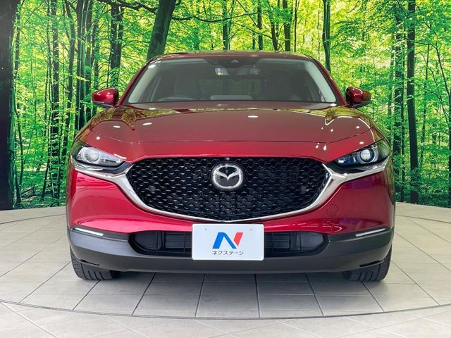 CX-30