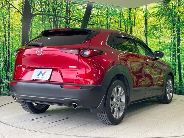 CX-30