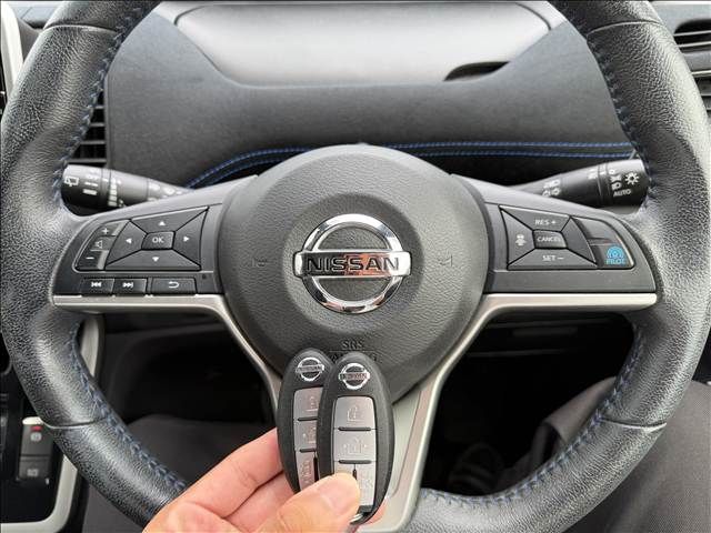 SERENA  S-HYBRID