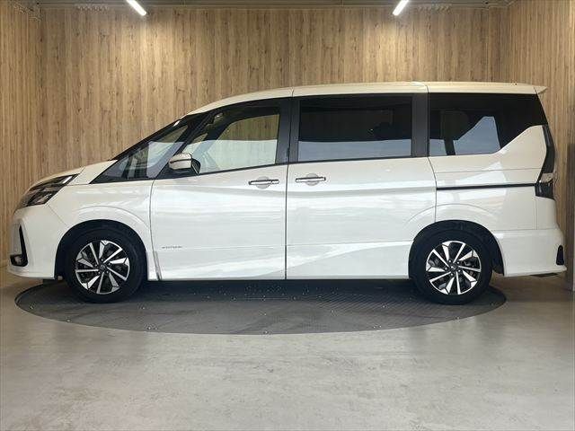 SERENA  S-HYBRID
