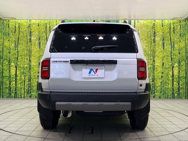 LANDCRUISER 250