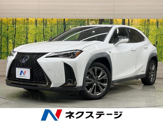 LEXUS UX250h