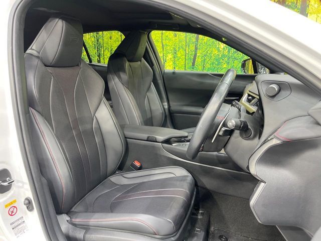 LEXUS UX250h