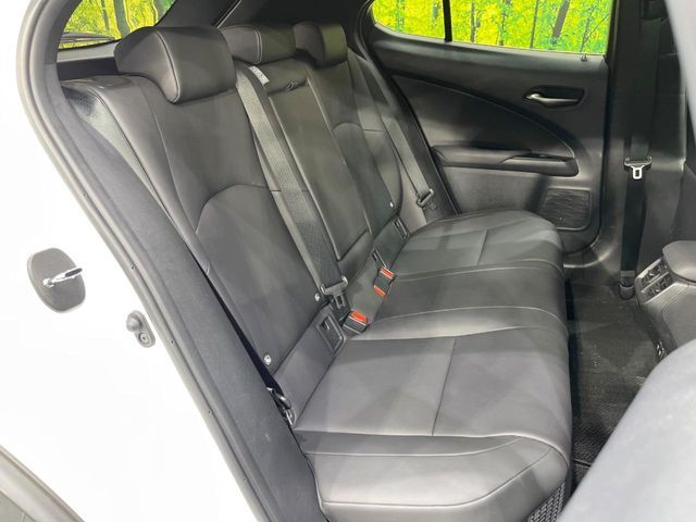 LEXUS UX250h