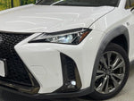 LEXUS UX250h