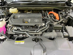 CROWN SPORT