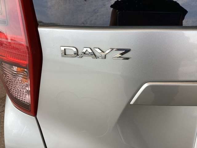DAYZ
