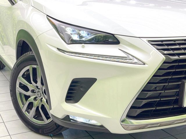 LEXUS NX300h
