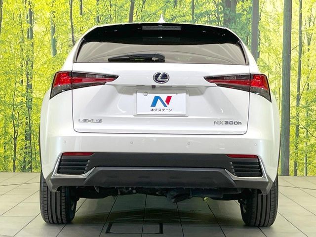 LEXUS NX300h