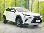 LEXUS NX300h
