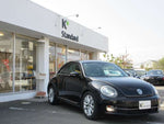 VOLKSWAGEN The BEETLE