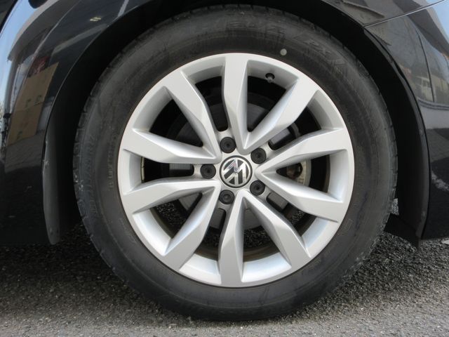 VOLKSWAGEN The BEETLE