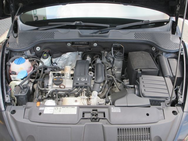 VOLKSWAGEN The BEETLE