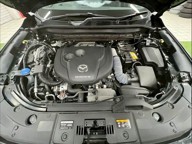 CX-8