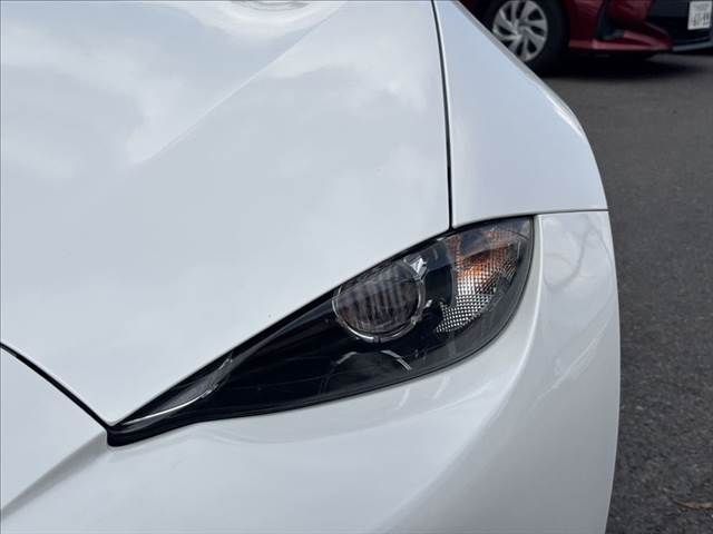 ROADSTER