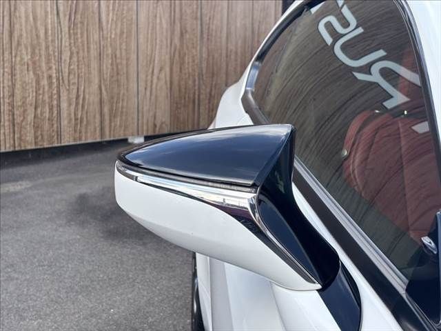 LEXUS RC300h