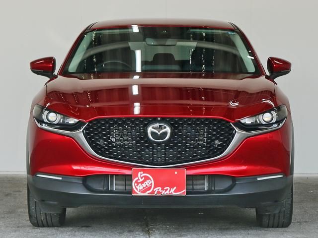 CX-30