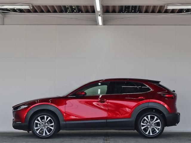 CX-30