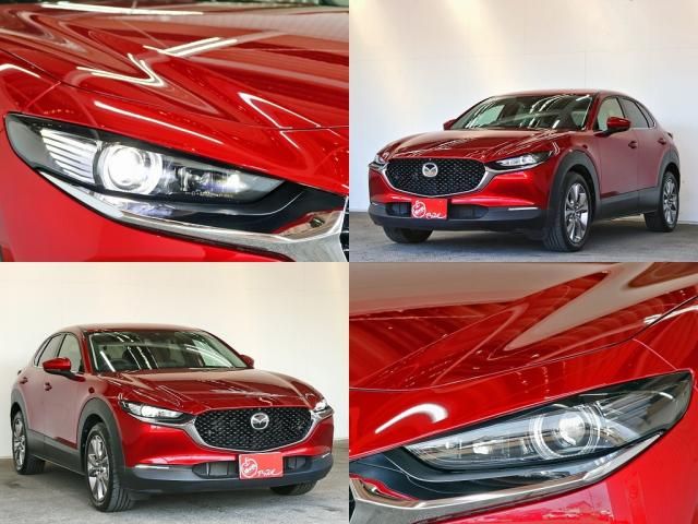 CX-30