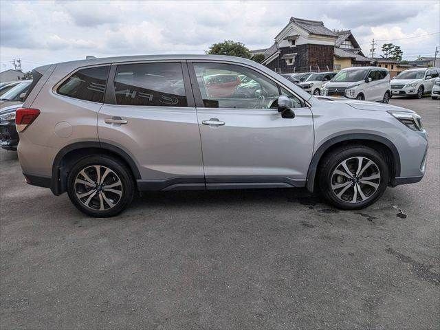 FORESTER