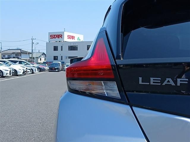 LEAF
