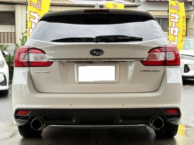 LEVORG